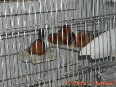 DSCN8041