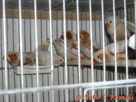 DSCN8346